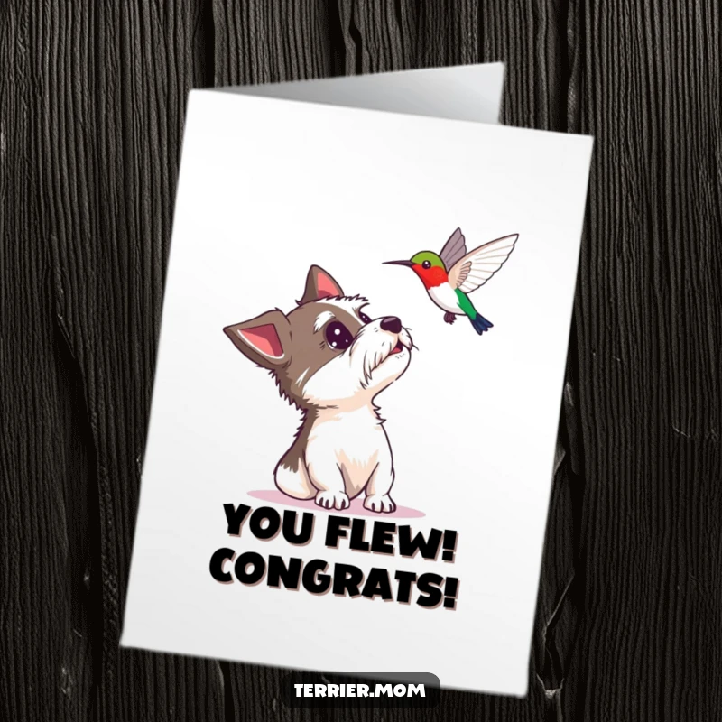 Funny Free Printable Congratulations Card: A terrier gazes in astonishment at a hovering hummingbird, celebrating success with humor.
